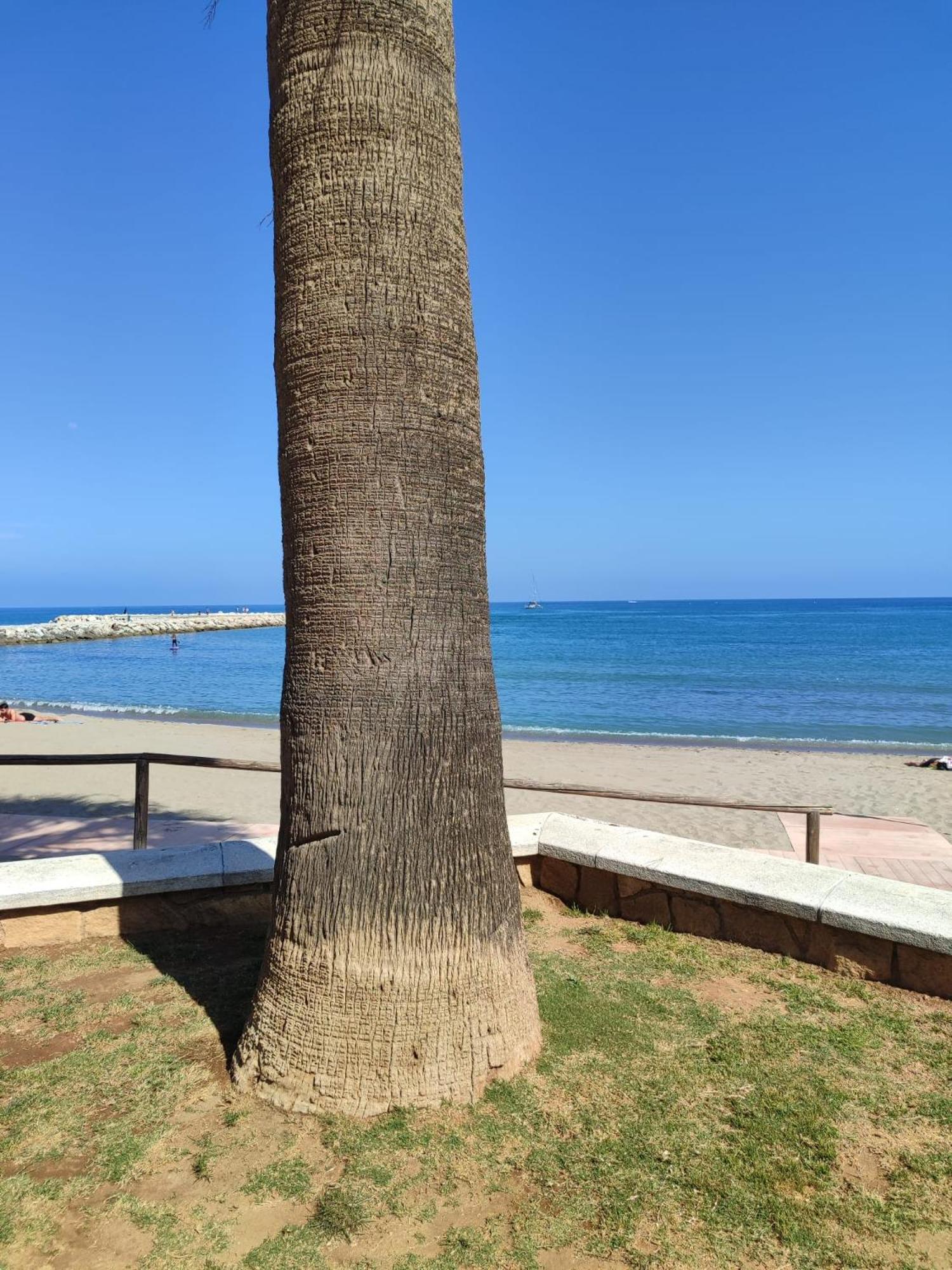 Fuengirola Reyes Beach المظهر الخارجي الصورة
